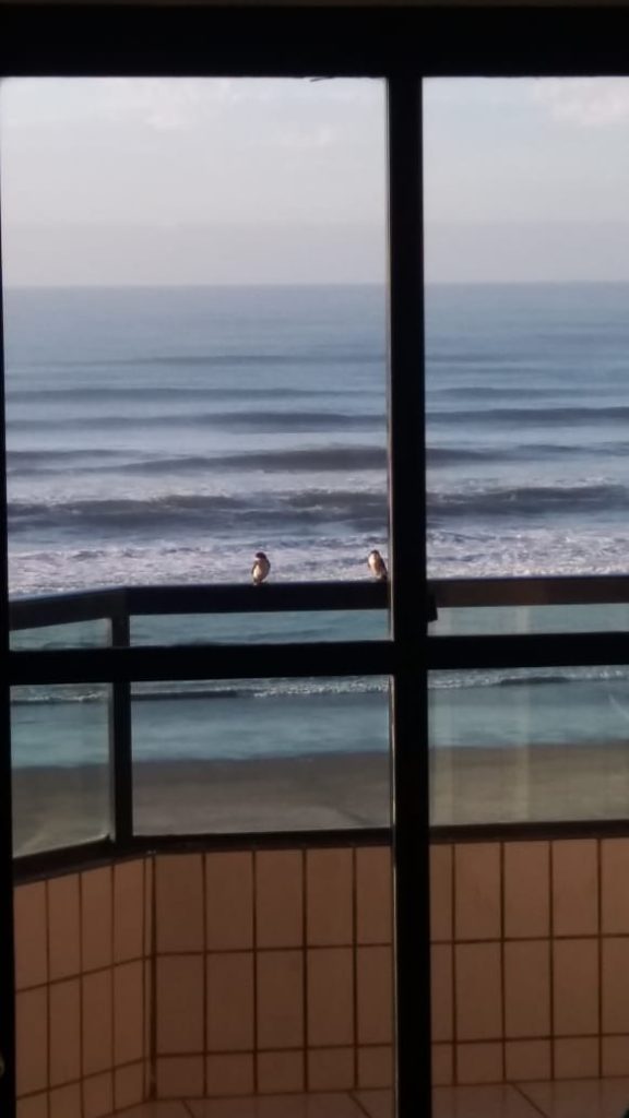 Apartamento para Venda – 1 Dormitório – Mongaguá Litoral Sul – SP
